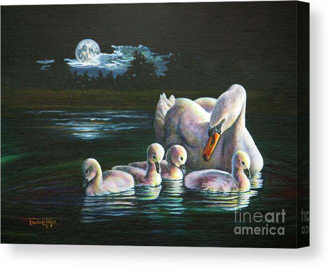 Swan Canvas Print featuring the painting Midnight Watch by Laurie Tietjen