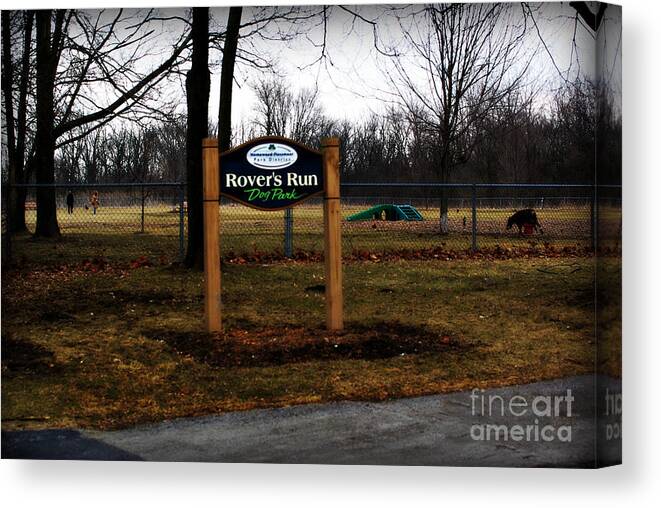 Documentary Canvas Print featuring the photograph Mild Winter at the Dog Park by Frank J Casella