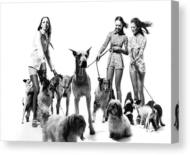 Accessories Canvas Print featuring the photograph Models with Dogs on Leashes, Vogue by Bert Stern