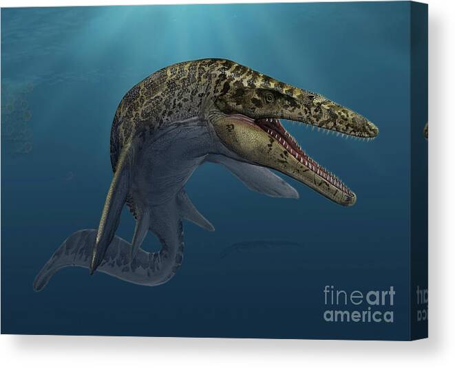 Prehistoric Era Canvas Print featuring the digital art Mosasaurus Hoffmanni Swimming by Sergey Krasovskiy/stocktrek Images
