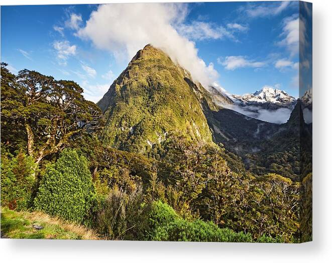 Landscape Canvas Print featuring the photograph Mountain Landscape Of Fiordland by DPK-Photo