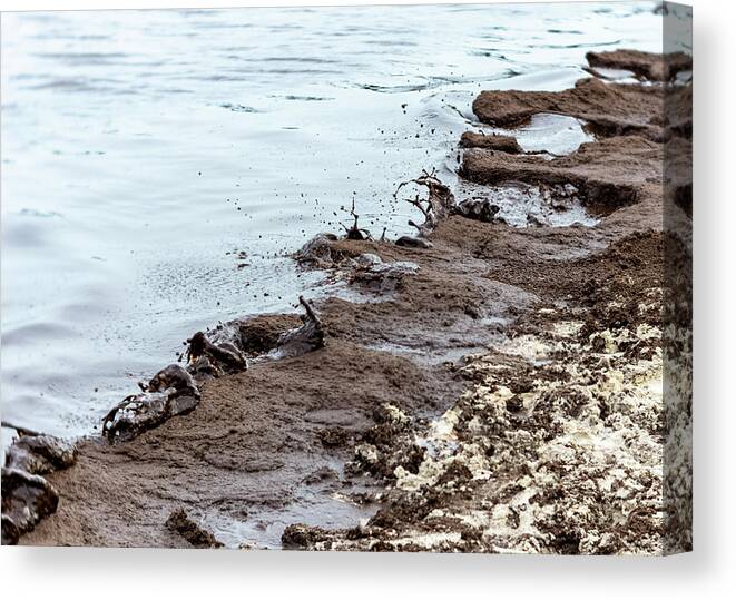 Abstractas Canvas Print featuring the photograph Muddy sea shore by Silvia Marcoschamer