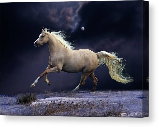 Mystic Beauty Canvas Print featuring the photograph Mystic Beauty by Bob Langrish