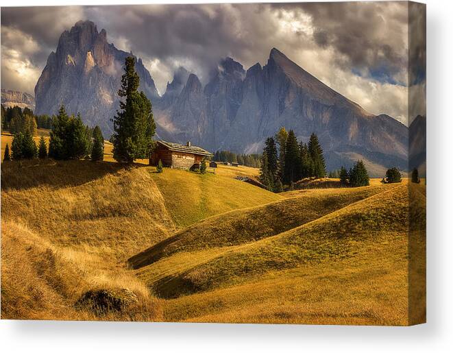 Trees Canvas Print featuring the photograph On A Mountain Meadow by Martin Kucera