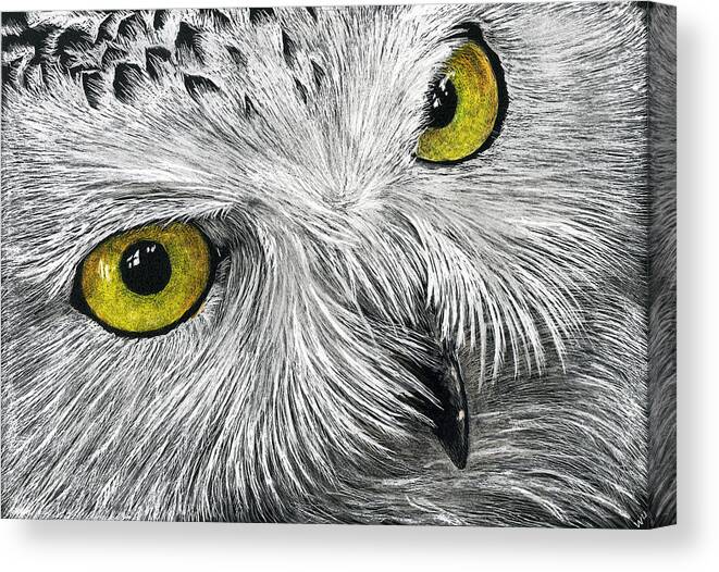 Drawing Canvas Print featuring the drawing Owl Face by William Underwood