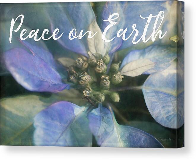 Poinsettia Canvas Print featuring the photograph Peace on Earth - Blue Poinsettia by Teresa Wilson