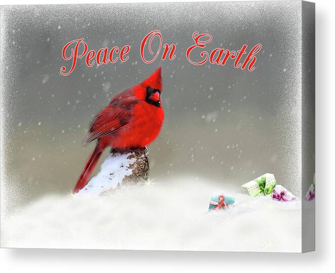 Cardinal Canvas Print featuring the photograph Peace On Earth by Cathy Kovarik