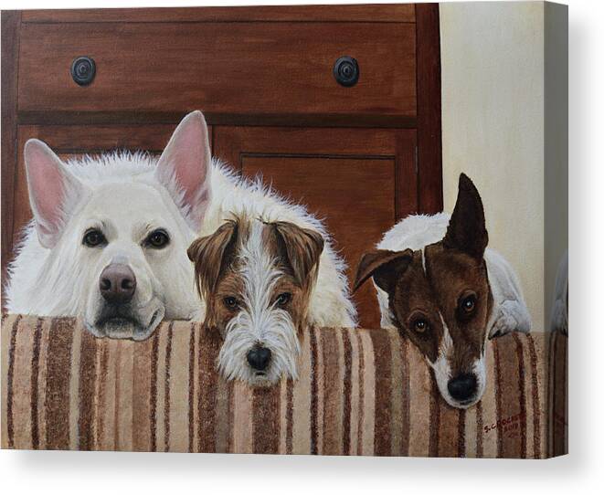 Pet Portrait Of 3 Dogs Canvas Print featuring the painting Pet Portrait Of 3 Dogs by Steve Crockett