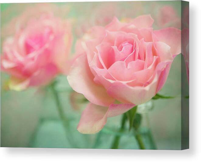 Pink Roses In Glass Canvas Print featuring the photograph Pink Roses In Glass by Cora Niele
