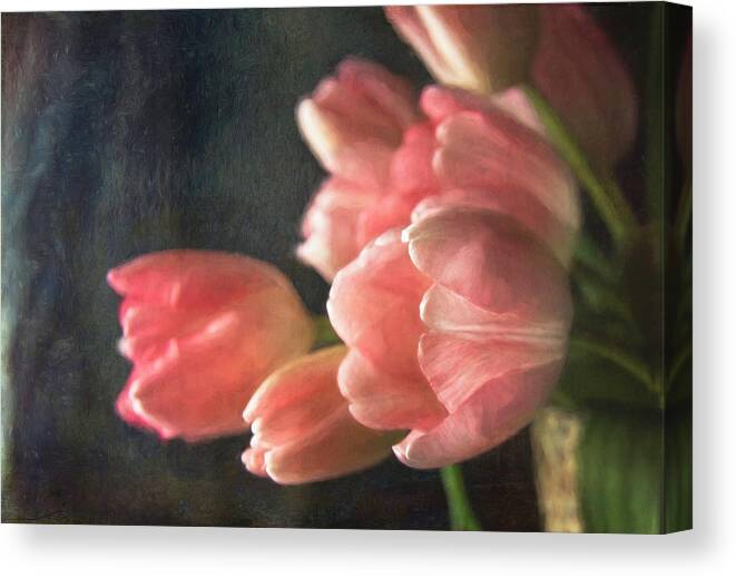 Tulips Canvas Print featuring the photograph Pink Tulip Bouquet by Cindi Ressler