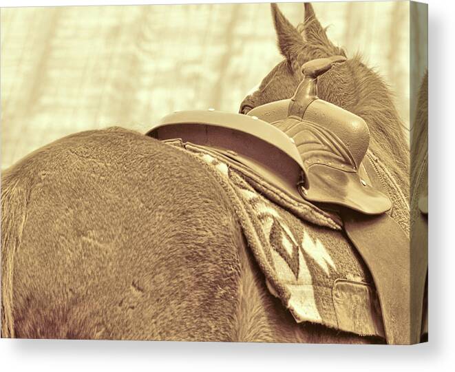 Barn Canvas Print featuring the photograph Pony Up by Dressage Design