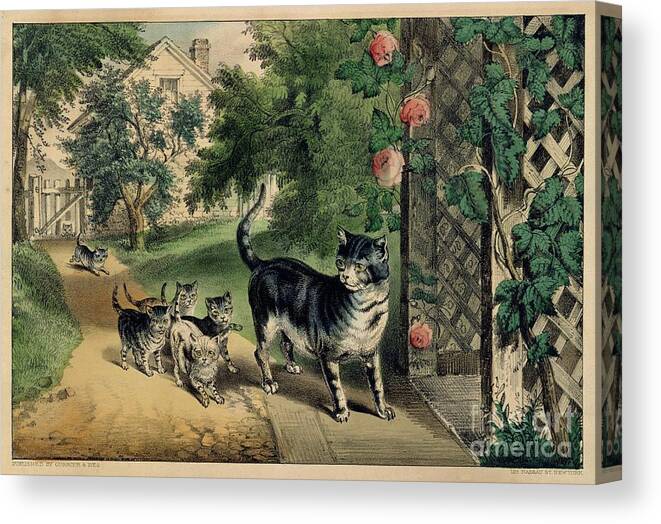 19th Century Style Canvas Print featuring the drawing Pussys Return by Heritage Images