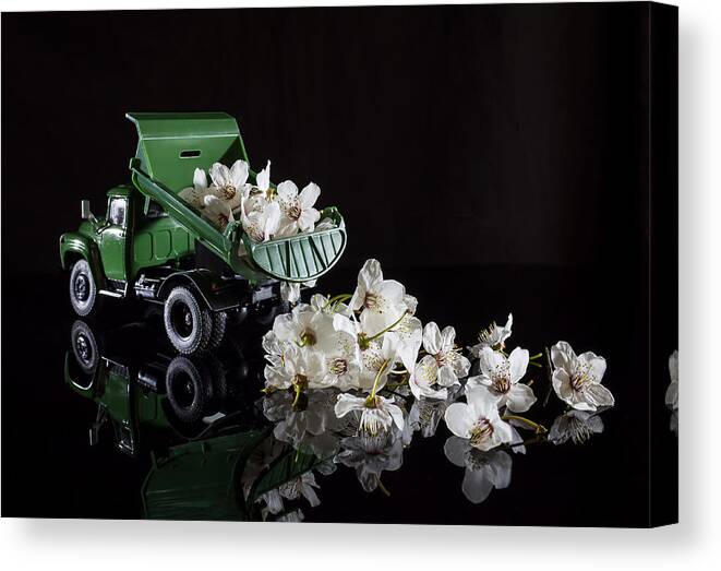 Modern Still Life Canvas Print featuring the photograph "i Brought You Spring!" by Evgeniy Popov