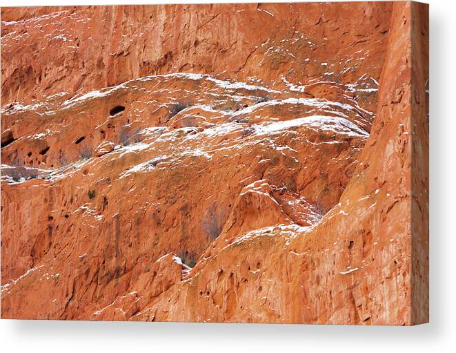 Nature Abstract Canvas Print featuring the photograph In the Stone by Terry Walsh