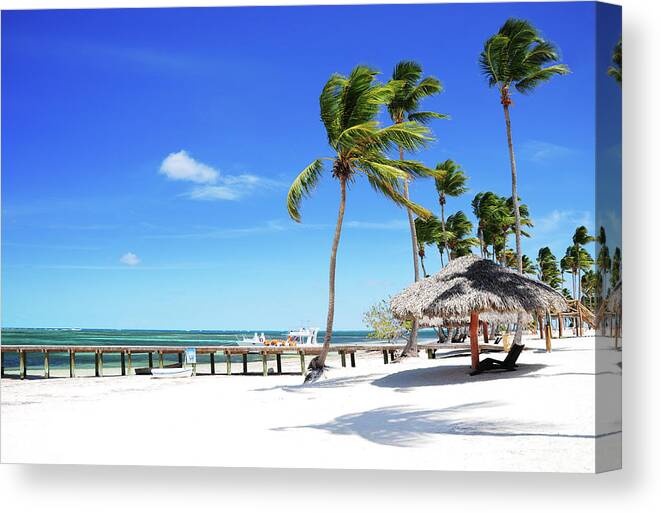 Tropical Tree Canvas Print featuring the photograph Relaxing On Remote Beach by Gerisima