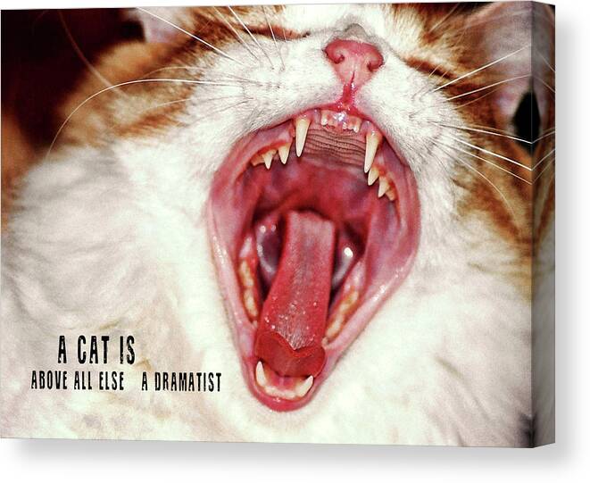 Absolute Canvas Print featuring the photograph ROAR quote by JAMART Photography