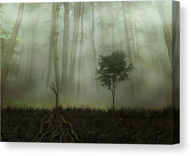 Creative Edit Canvas Print featuring the photograph Root 2 by Aryana Golchin