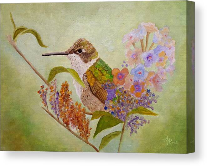 Hummingbird Canvas Print featuring the painting Ruby Sweetheart by Angeles M Pomata