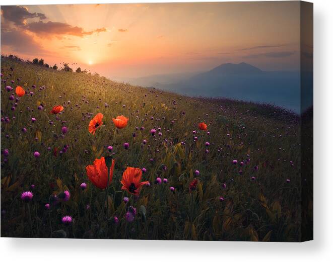 Gilan Canvas Print featuring the photograph Rudbar Heights In Spring by Majid Behzad