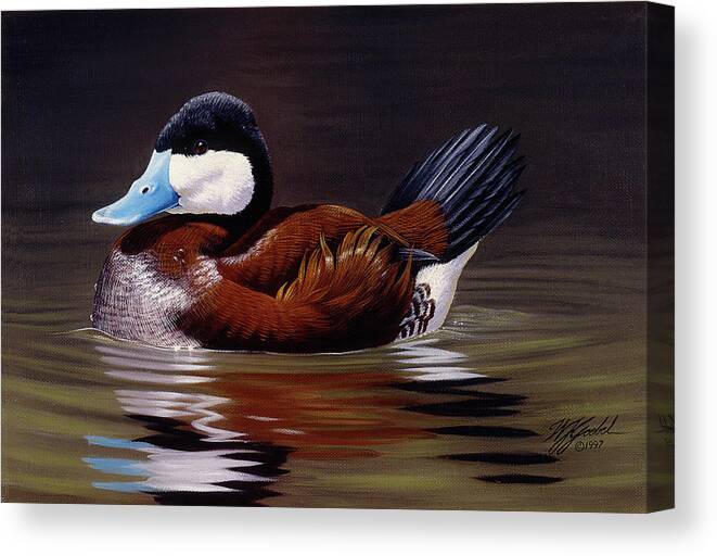 A Bronze Colored Duck With A Blue Bill In The Water Canvas Print featuring the painting Ruddy Duck by Wilhelm Goebel
