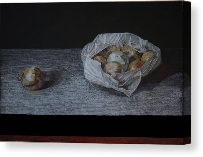 Onion Canvas Print featuring the drawing Runaway Onion by Quwatha Valentine