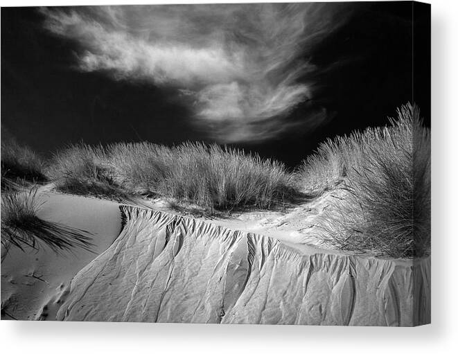 Infrared
Landscape Canvas Print featuring the photograph Sand Dune Infrared by Michael Ivshin Johansen