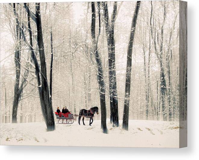 Winter Canvas Print featuring the photograph Winter Sleigh Ride by Jessica Jenney