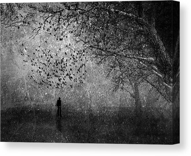 Surreal Canvas Print featuring the photograph Silent forest by Bob Orsillo