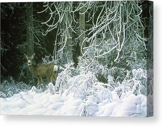 A Mule Deer Looks Backwards Canvas Print featuring the painting Snow Palace - Mule Deer by Ron Parker