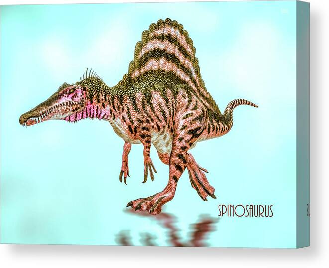 Spinosaurus Canvas Print featuring the digital art Spinosaurus by Bob Orsillo