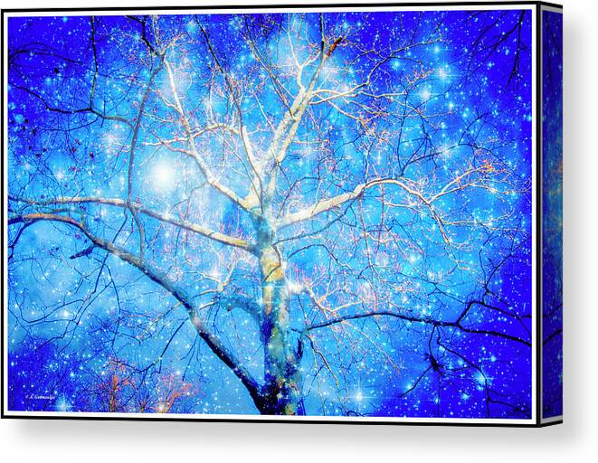 Spiritual Canvas Print featuring the drawing Spirit Tree, Fantasy Forest by A Macarthur Gurmankin