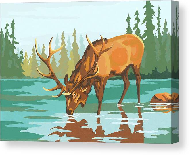 Activity Canvas Print featuring the drawing Stag Drinking Water by CSA Images