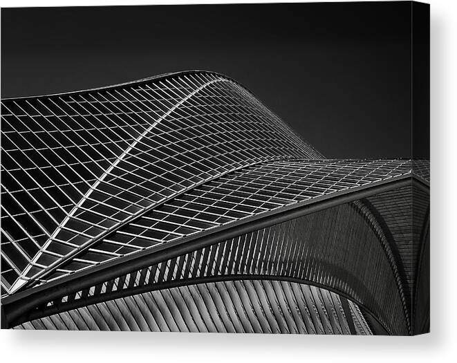 Station Canvas Print featuring the photograph Stationlines by Henk Van Maastricht