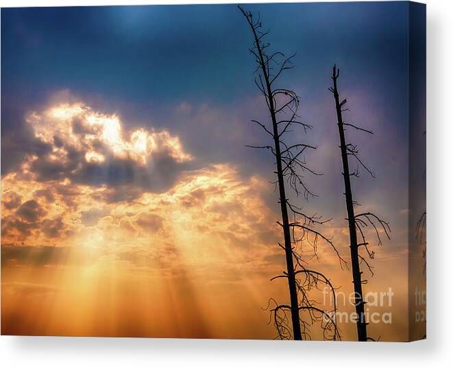 Sun Canvas Print featuring the photograph Sunbeams by Dheeraj Mutha