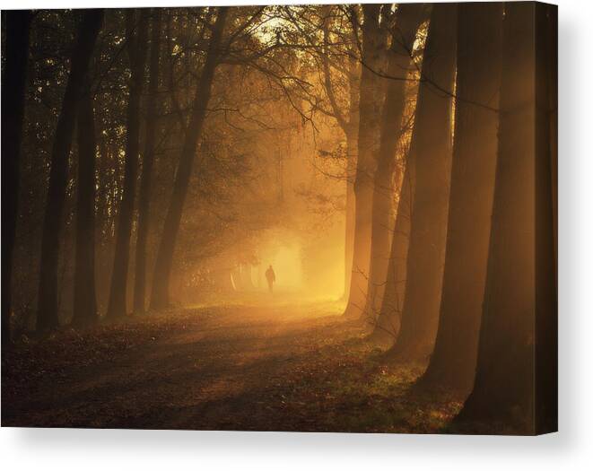 People Canvas Print featuring the photograph Sunlight Passing Through Trees In Autumn by Bob Van Den Berg Photography