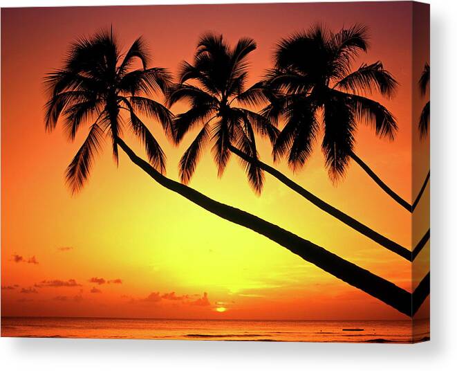 Tranquility Canvas Print featuring the photograph Sunset At Tropical Beach, Barbados by Hans-peter Merten