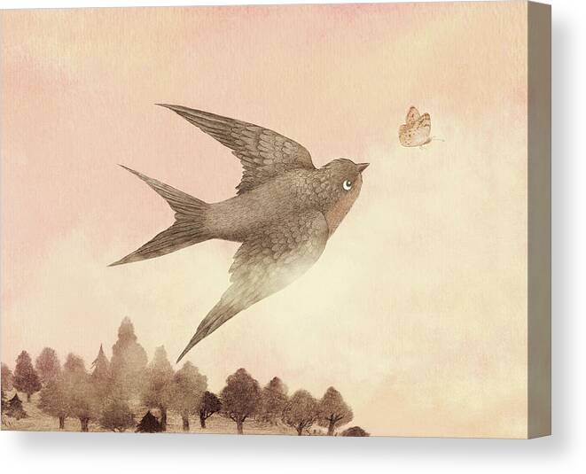 Butterfly Canvas Print featuring the drawing Sunset Swallow by Eric Fan