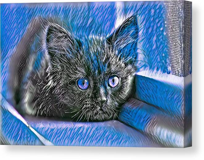Blue Canvas Print featuring the digital art Super Cool Black Cat Blue Eyes by Don Northup