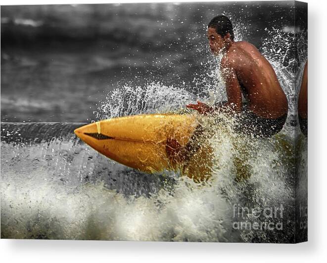 Beach Canvas Print featuring the photograph Focused by Eye Olating Images