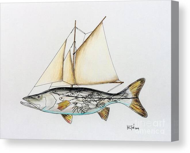 Surrealist Snook Fish Canvas Print / Canvas Art by Graham Wallwork - Pixels  Canvas Prints