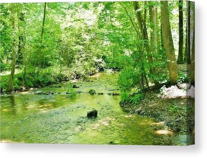  Canvas Print featuring the photograph Tennessee Creek by Lindsey Floyd