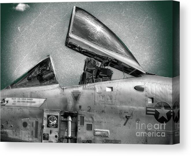 Warthog Canvas Print featuring the photograph Things that Eject by Steven Digman