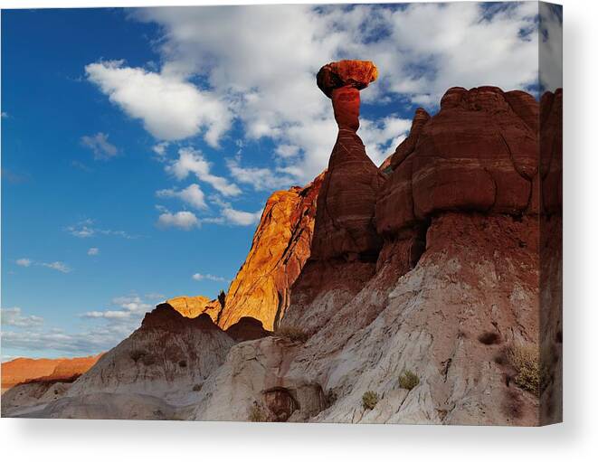 Landscape Canvas Print featuring the photograph Toadstool Hoodoo Amazing Mushroom by DPK-Photo