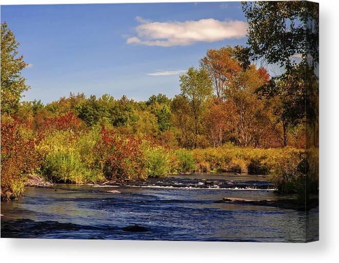 Allegheny Mountains Canvas Print featuring the photograph Tobyhanna Creek by Michael Gadomski