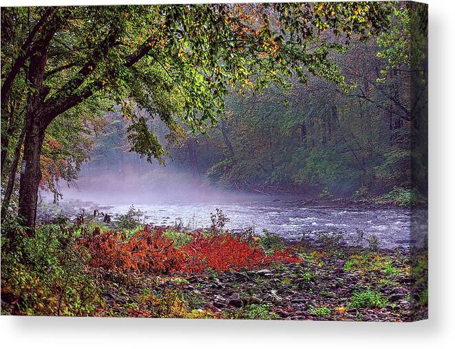 Catskill Mountains Canvas Print featuring the photograph Trout Stream in Autumn by Cordia Murphy