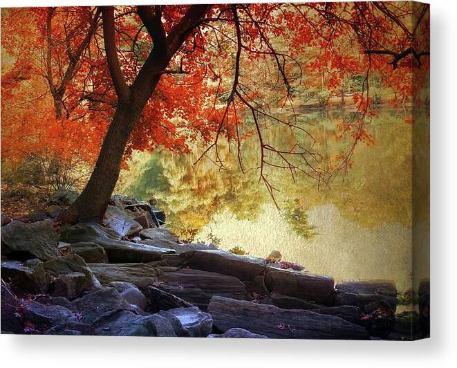 Autumn Canvas Print featuring the photograph Under the Maple by Jessica Jenney