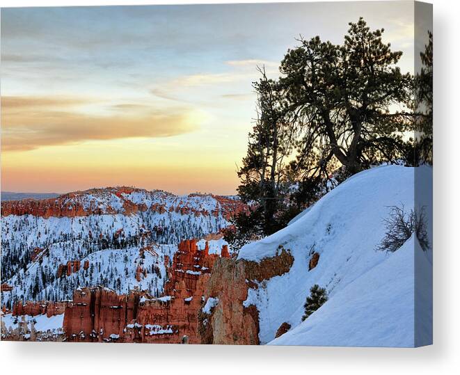 Bryce Canyon Canvas Print featuring the photograph Utah Magic by Nicholas Blackwell