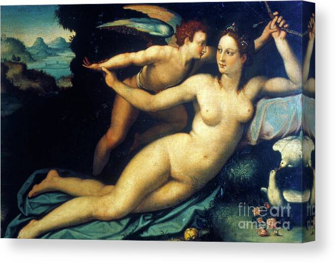 People Canvas Print featuring the drawing Venus And Cupid, Mid 16th Century by Print Collector