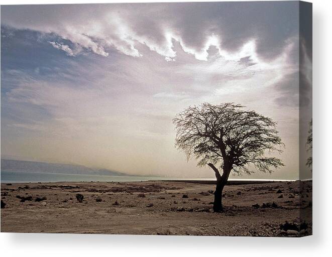  Dead Sea Canvas Print featuring the photograph View of the Dead Sea by Alon Mandel