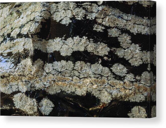 Mineral Canvas Print featuring the photograph Volcanic Rock by David Wasserman